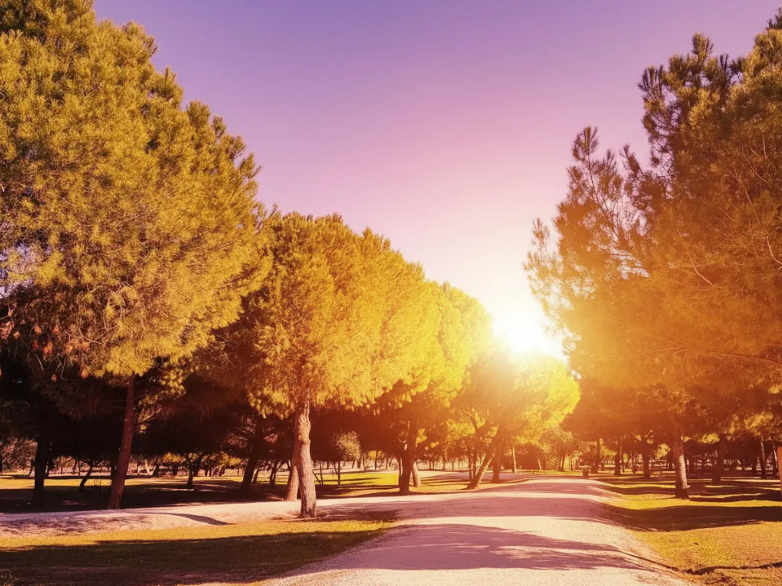 Parque Alcosa Sevilla