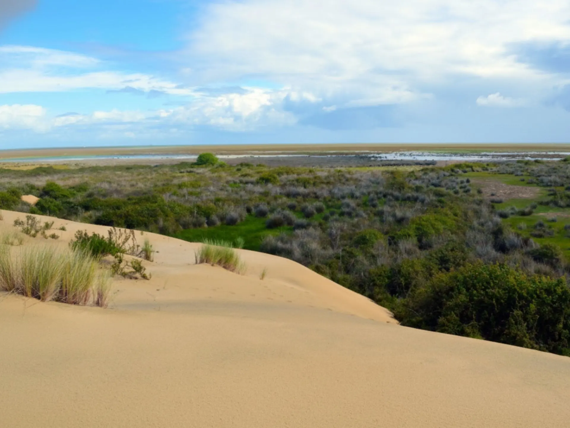 Playa de Matalascañas Costa de Huelva