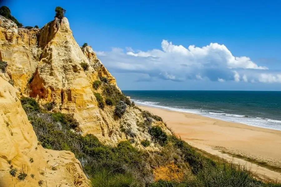 Playas de Mazagón y pinares